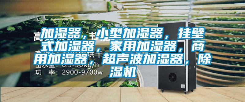 加濕器，小型加濕器，掛壁式加濕器，家用加濕器，商用加濕器，超聲波加濕器，除濕機