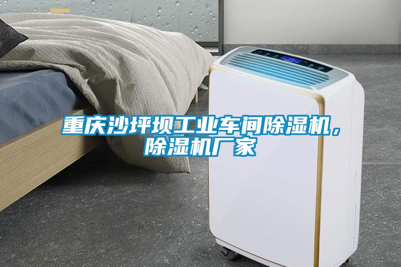 重慶沙坪壩工業(yè)車(chē)間除濕機(jī)，除濕機(jī)廠家