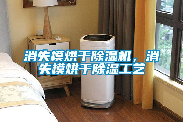 消失模烘干除濕機，消失模烘干除濕工藝