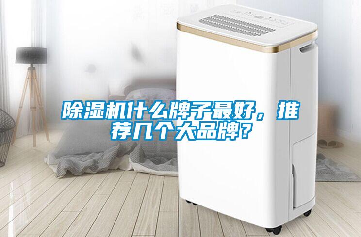 除濕機什么牌子最好，推薦幾個大品牌？