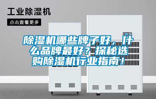 除濕機(jī)哪些牌子好，什么品牌最好？探秘選購除濕機(jī)行業(yè)指南！
