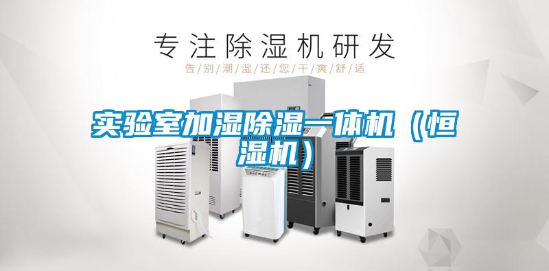 實驗室加濕除濕一體機(jī)（恒濕機(jī)）