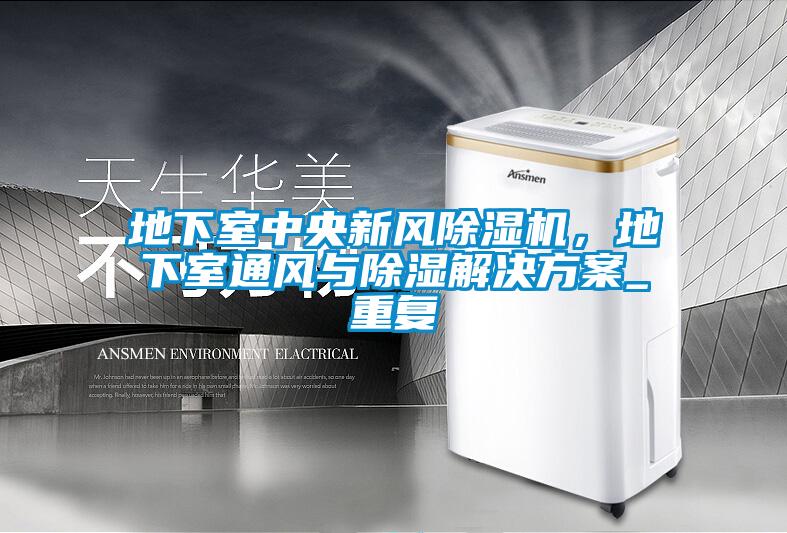 地下室中央新風除濕機，地下室通風與除濕解決方案_重復