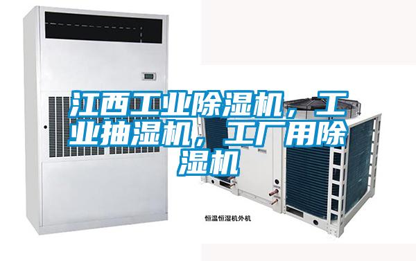 江西工業除濕機，工業抽濕機，工廠用除濕機