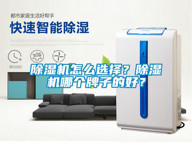 除濕機怎么選擇？除濕機哪個牌子的好？
