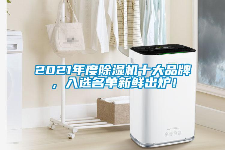 2021年度除濕機十大品牌，入選名單新鮮出爐！