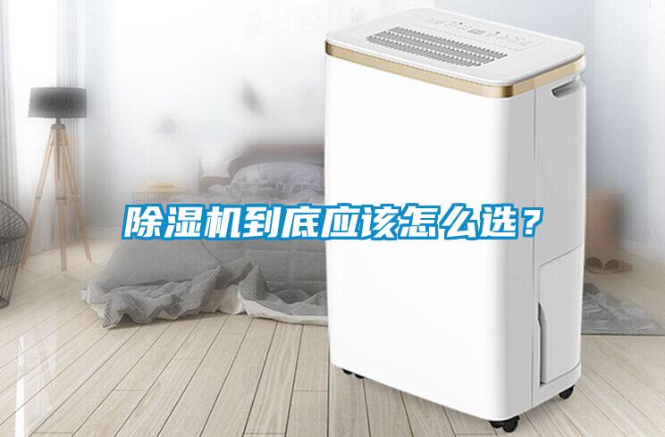除濕機到底應該怎么選？