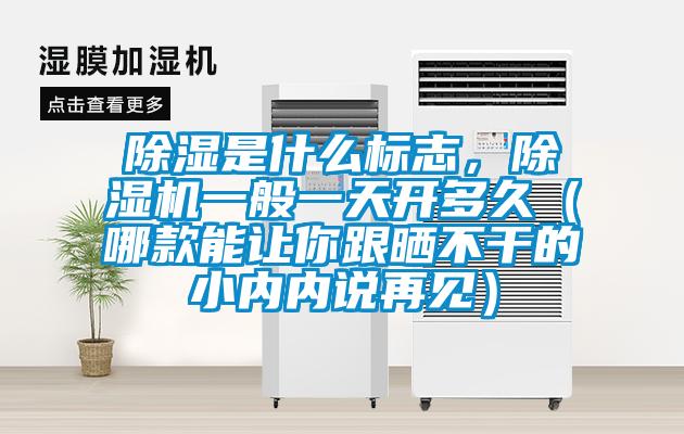 除濕是什么標志，除濕機一般一天開多久（哪款能讓你跟曬不干的小內內說再見）