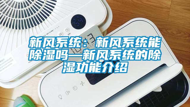 新風系統(tǒng)：新風系統(tǒng)能除濕嗎—新風系統(tǒng)的除濕功能介紹