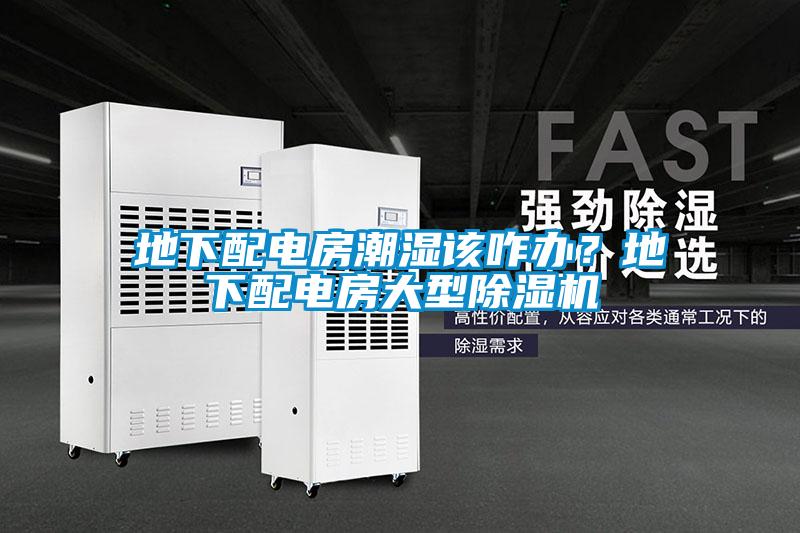 地下配電房潮濕該咋辦？地下配電房大型除濕機