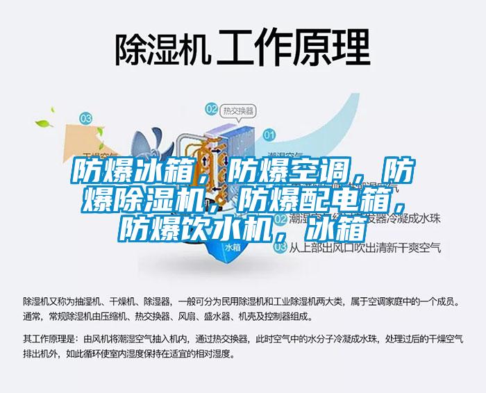 防爆冰箱，防爆空調，防爆除濕機，防爆配電箱，防爆飲水機，冰箱