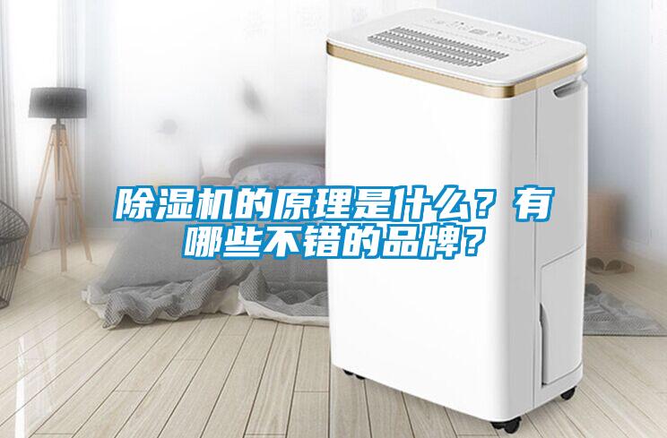 除濕機的原理是什么？有哪些不錯的品牌？