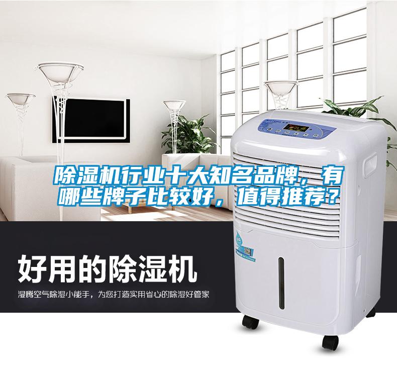 除濕機(jī)行業(yè)十大知名品牌，有哪些牌子比較好，值得推薦？
