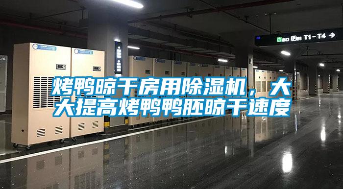 烤鴨晾干房用除濕機，大大提高烤鴨鴨胚晾干速度