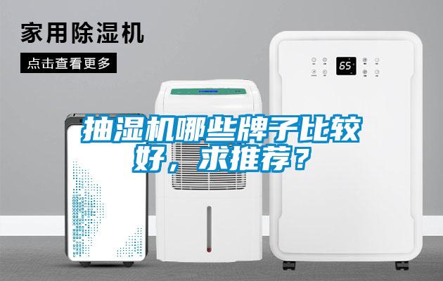抽濕機哪些牌子比較好，求推薦？