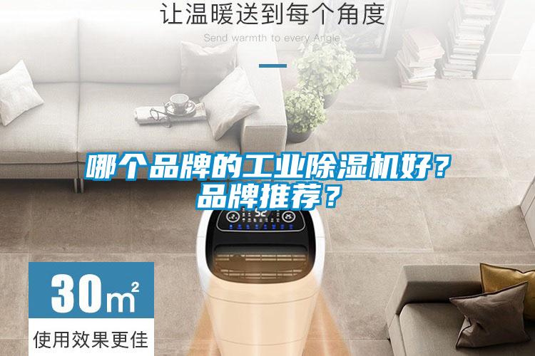哪個(gè)品牌的工業(yè)除濕機(jī)好？品牌推薦？