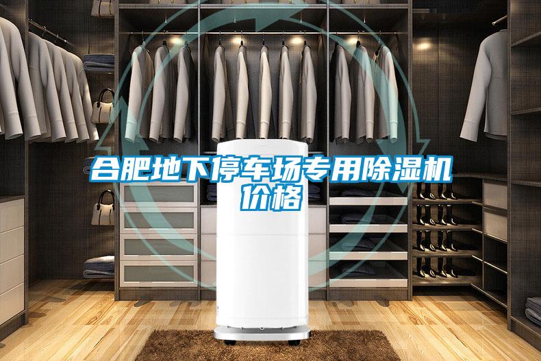 合肥地下停車場專用除濕機(jī)價格