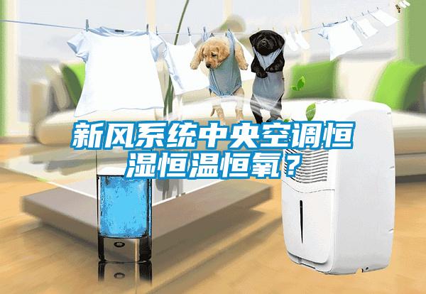 新風系統(tǒng)中央空調(diào)恒濕恒溫恒氧？