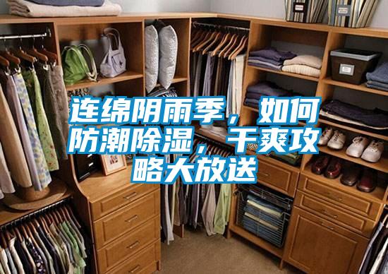 連綿陰雨季，如何防潮除濕，干爽攻略大放送