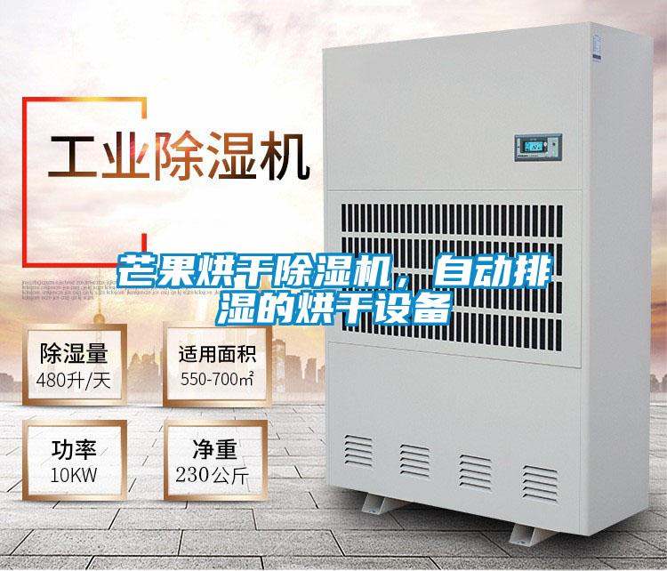 芒果烘干除濕機，自動排濕的烘干設備