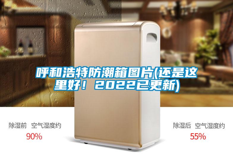 呼和浩特防潮箱圖片(還是這里好！2022已更新)