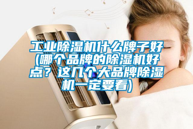 工業(yè)除濕機(jī)什么牌子好(哪個(gè)品牌的除濕機(jī)好點(diǎn)？這幾個(gè)大品牌除濕機(jī)一定要看)
