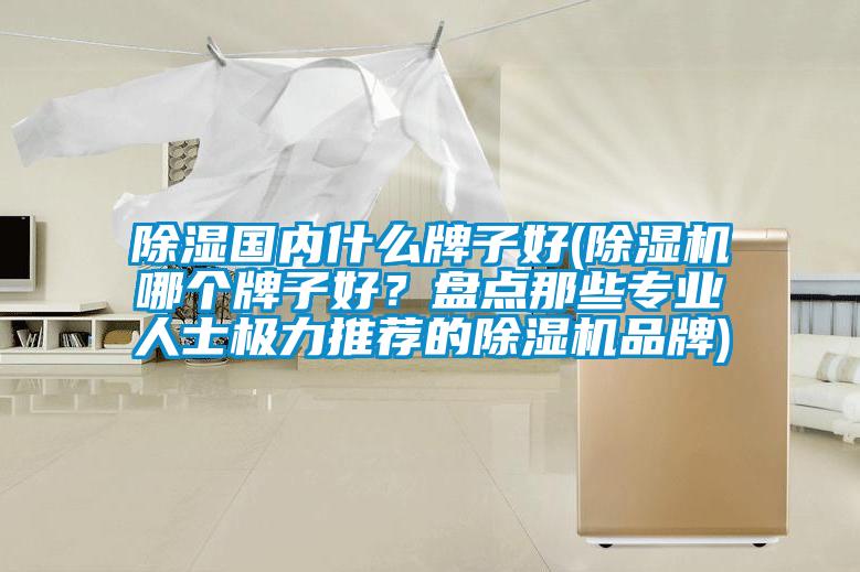 除濕國內什么牌子好(除濕機哪個牌子好？盤點那些專業人士極力推薦的除濕機品牌)
