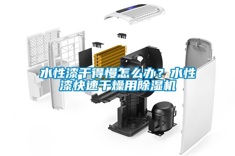 水性漆干得慢怎么辦？水性漆快速干燥用除濕機