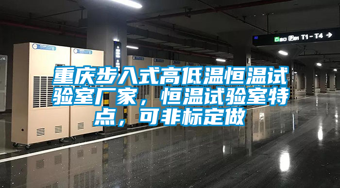 重慶步入式高低溫恒溫試驗(yàn)室廠家，恒溫試驗(yàn)室特點(diǎn)，可非標(biāo)定做