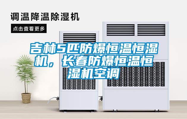 吉林5匹防爆恒溫恒濕機(jī)，長(zhǎng)春防爆恒溫恒濕機(jī)空調(diào)