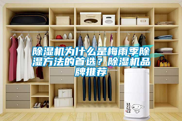 除濕機為什么是梅雨季除濕方法的首選？除濕機品牌推薦