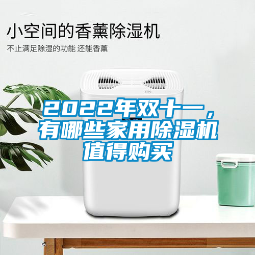 2022年雙十一，有哪些家用除濕機值得購買