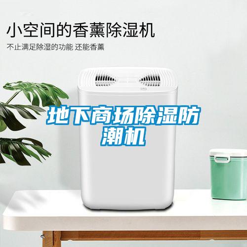 地下商場除濕防潮機(jī)