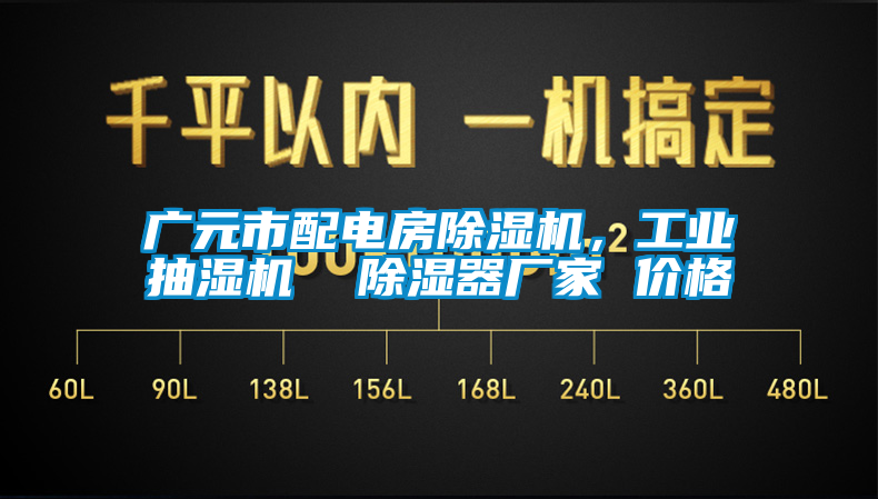廣元市配電房除濕機，工業抽濕機  除濕器廠家 價格