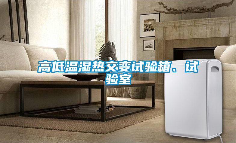 高低溫濕熱交變試驗箱、試驗室