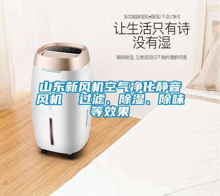 山東新風(fēng)機(jī)空氣凈化靜音風(fēng)機(jī)  過濾、除濕、除味等效果