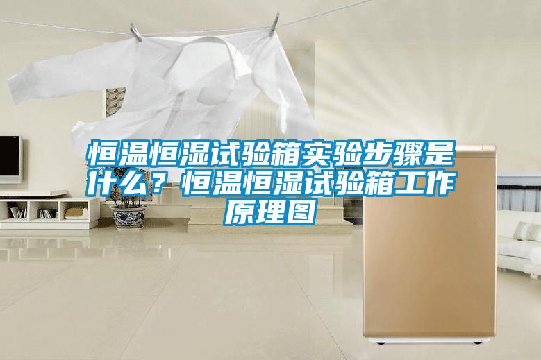 恒溫恒濕試驗箱實驗步驟是什么？恒溫恒濕試驗箱工作原理圖