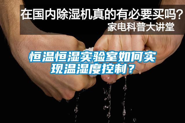 恒溫恒濕實驗室如何實現溫濕度控制？