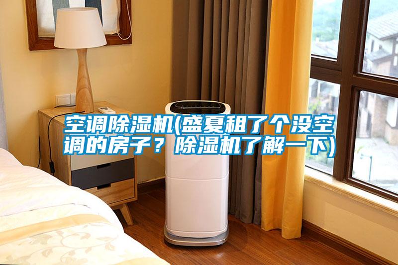 空調除濕機(盛夏租了個沒空調的房子？除濕機了解一下)