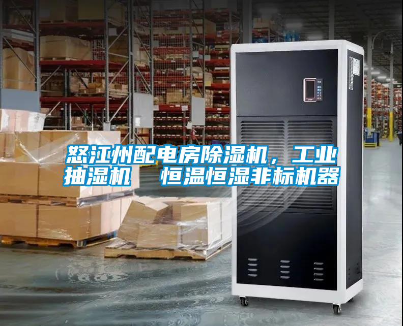 怒江州配電房除濕機，工業(yè)抽濕機  恒溫恒濕非標機器