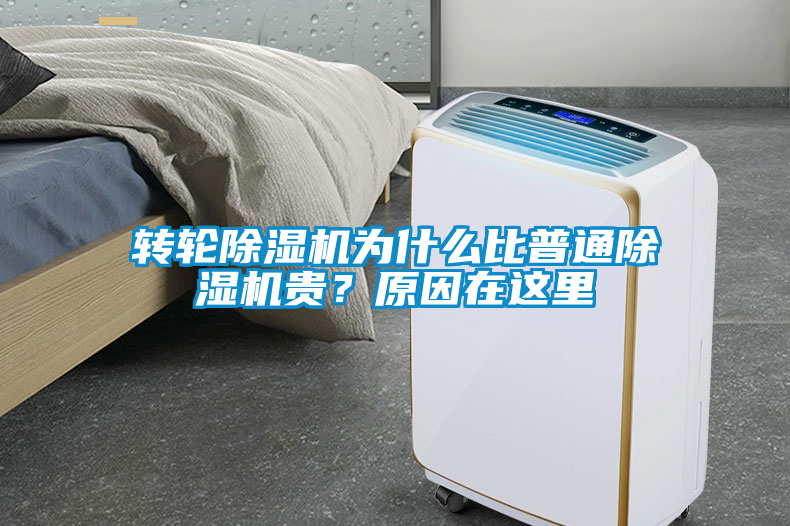 轉輪除濕機為什么比普通除濕機貴？原因在這里