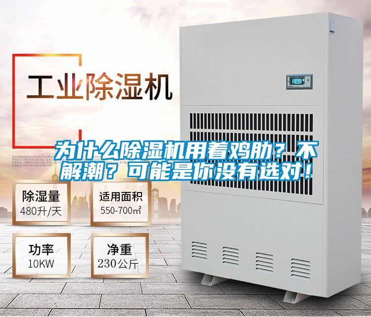 為什么除濕機用著雞肋？不解潮？可能是你沒有選對！