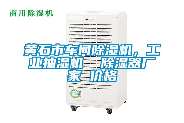 黃石市車間除濕機，工業抽濕機  除濕器廠家 價格