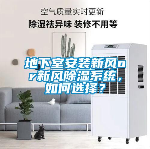 地下室安裝新風or新風除濕系統，如何選擇？
