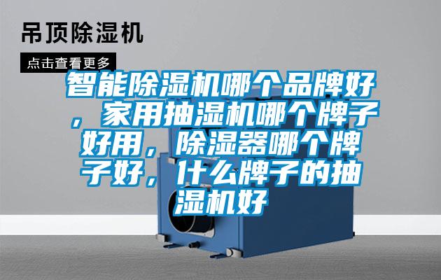 智能除濕機哪個品牌好，家用抽濕機哪個牌子好用，除濕器哪個牌子好，什么牌子的抽濕機好