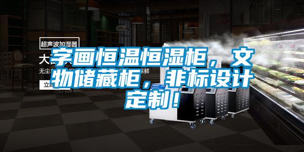 字畫恒溫恒濕柜，文物儲藏柜，非標設計定制！