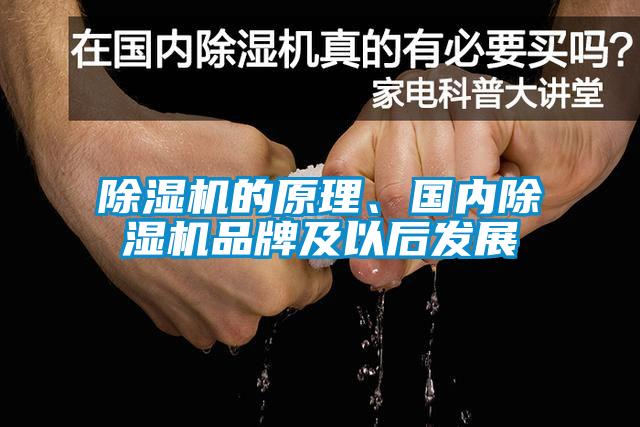 除濕機的原理、國內除濕機品牌及以后發展
