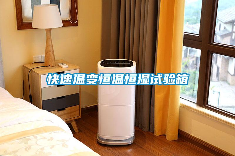 快速溫變恒溫恒濕試驗(yàn)箱