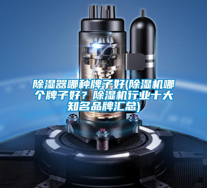 除濕器哪種牌子好(除濕機(jī)哪個牌子好？除濕機(jī)行業(yè)十大知名品牌匯總)