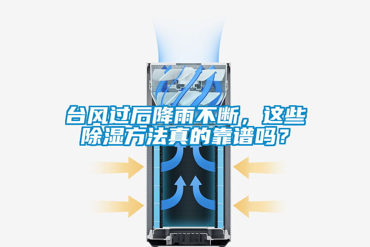 臺風過后降雨不斷，這些除濕方法真的靠譜嗎？